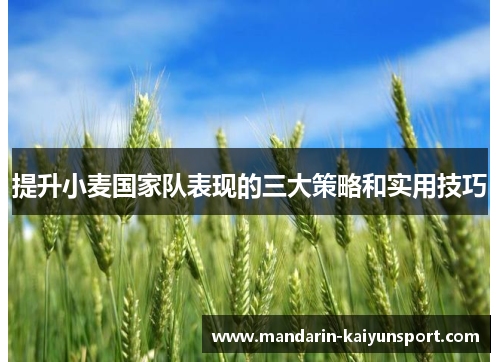 提升小麦国家队表现的三大策略和实用技巧
