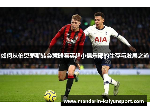 如何从伯恩茅斯转会策略看英超小俱乐部的生存与发展之道 如何从伯恩茅斯转会策略看英超小俱乐部的生存与发展之道